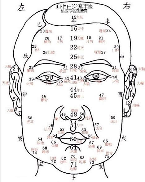 面相歲數